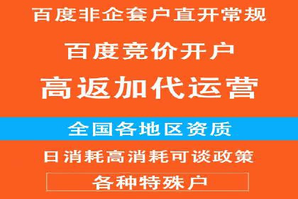成功企业的SEM竞价优化经验与启示